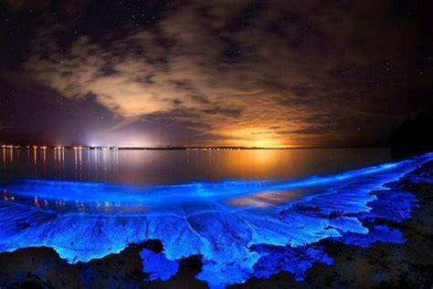 This Glow-In-The-Dark Beach In Maldives Has Sea Of Stars To Swoon You ...