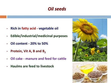 Agronomic Crops Classification - Agriculture | PPT | Free Download