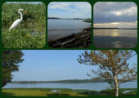 Old Hickory Lake - The Flying Mantis