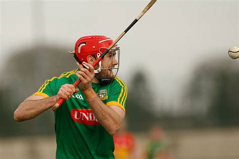 Meath hurling panel released - HoganStand