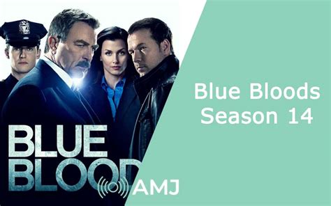 Blue Bloods Season 14 – What Does the Final Season Have in Store? - AMJ