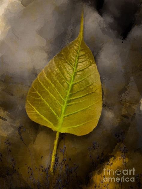 Bodhi tree leaf Digital Art by Aayan Arts