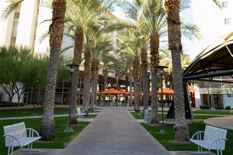 5 hidden study spots on ASU’s Tempe campus - The State Press