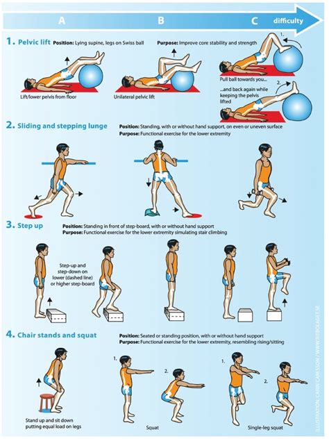 Exercise Programs: Exercise Program Hip Osteoarthritis