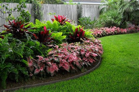 1000+ images about Zone 10 plants on Pinterest | Gardens, Sun and ...