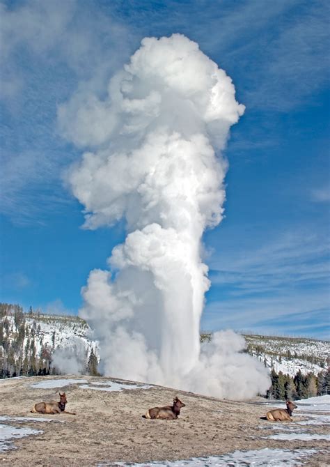 Yellowstone National Park - Cody Yellowstone