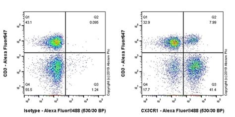 Microglia markers | Abcam