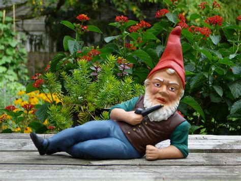 Literary Scribbles: A 100-Word Garden Gnomes Study