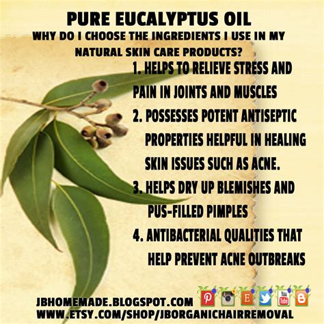 JBHomemade Sugaring and Skincare: 27 benefits of Eucalyptus and ...