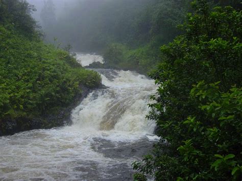 The Hana Highway Waterfalls - A Complete Road Guide