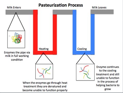 Pasteurization - Simple English Wikipedia, the free encyclopedia