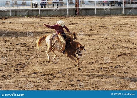 Saddle Bronc stock photo. Image of cattle, lasso, leather - 335520