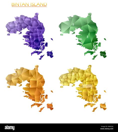 Set of vector polygonal maps of Bintan Island. Bright gradient map of ...