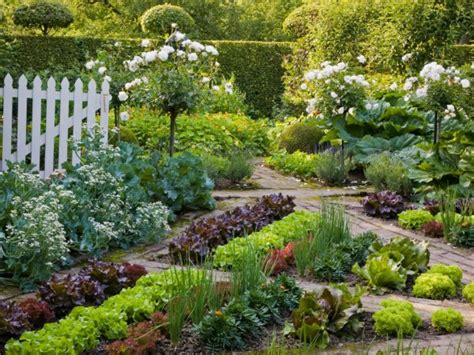 Beautiful Vegetable Gardens PLUS Design Tips and Ideas