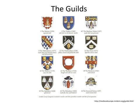 The Different Types Of Animal Guilds – MudFooted