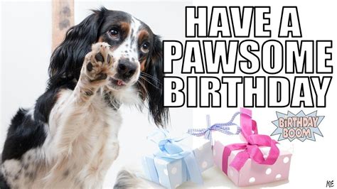 funny happy birthday memes dogs | Happy birthday dog meme, Happy ...