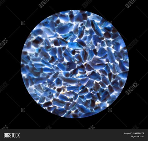 Bacteria Cells Under Image & Photo (Free Trial) | Bigstock