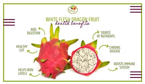 Dragon Fruit Benefits - Vega Produce: Eat Exotic, Be Healthy