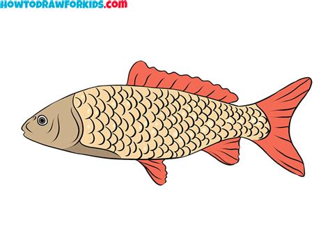 How to Draw a Realistic Fish - Easy Drawing Tutorial For Kids