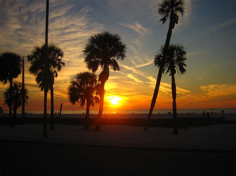 Photo Gallery - Clearwater Beach .com