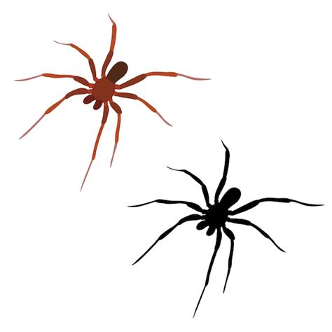 Premium Vector | Vector isolated spider insect silhouette