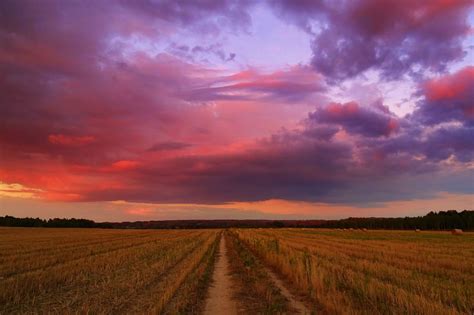 Lodz, Summer Landscape, Late Summer, Pretty Pictures, Farmland ...