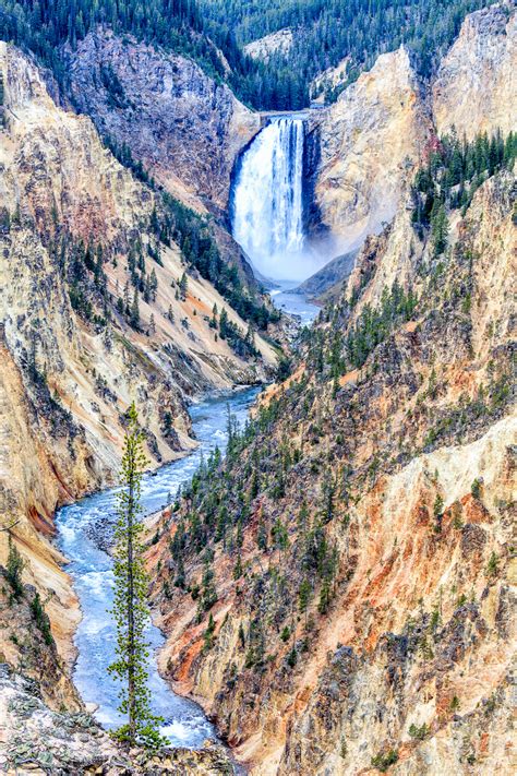 Grand Canyon of the Yellowstone - T. Kahler Photography