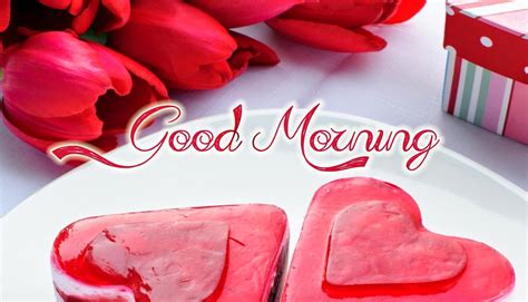 Romantic Good Morning Messages For Girlfriend | Best Wishes Messages