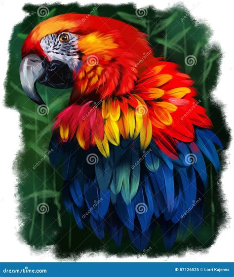 Parrot watercolor painting stock illustration. Illustration of head ...