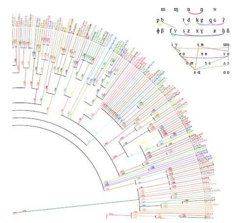 Family Tree for Austronesian Languages (from PNAS) | Language, Language ...