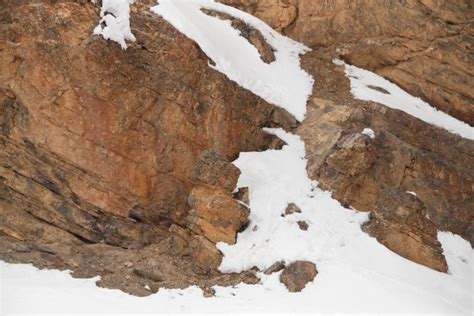 Well-camouflaged snow leopards captured in frame. Can you find them ...