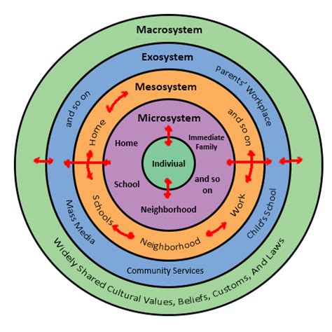 Bioecological model | Psychology Wiki | Fandom