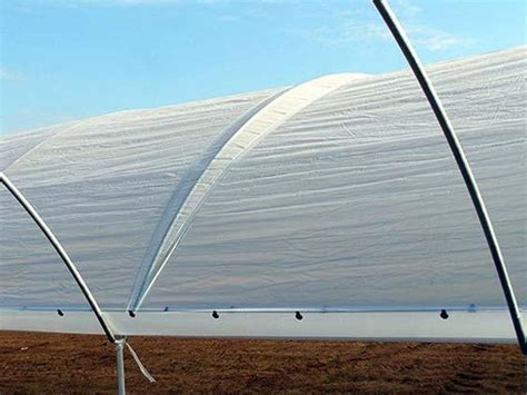 Best Greenhouse Covering Materials for DIY Greenhouses