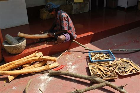 Like to share this picture Harvesting Cinnamon from our garden - Food52