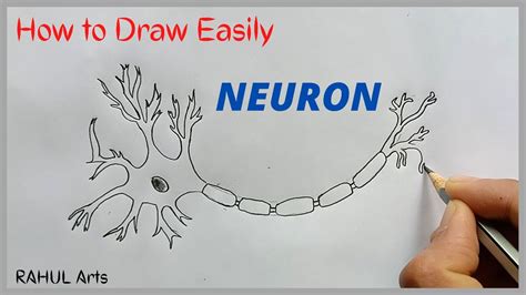 Nervous Tissue Diagram