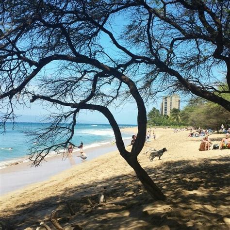 Kaanapali Beach Walk - 2 tips from 207 visitors