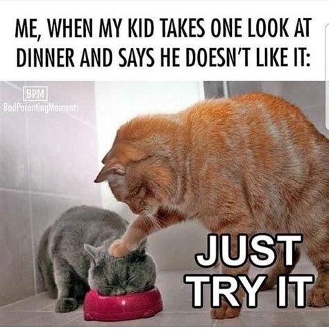 Mom Memes Are Already Tired (34 pics) - Izismile.com