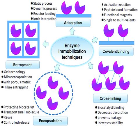 Types of enzyme immobilization techniques. Techniques that work with ...