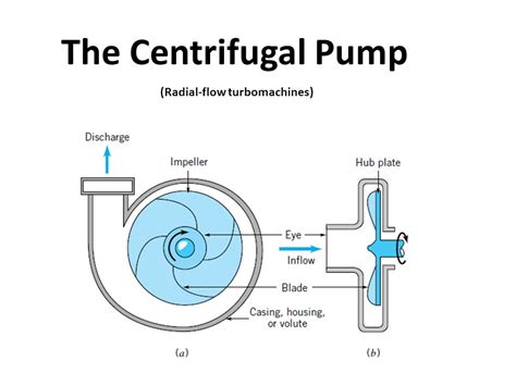 Centrifugal Pump Diagram And Working Centrifugal Pump: Princ