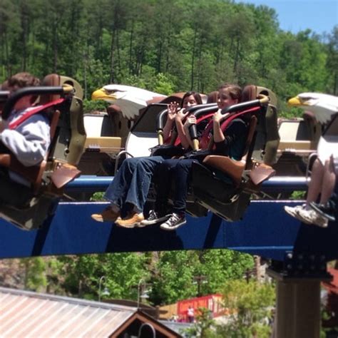 Wild Eagle - Dollywood