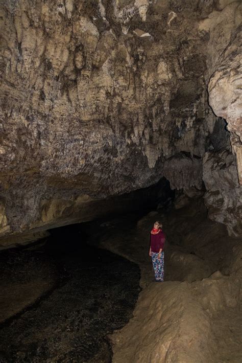 Waipu Caves Glowworms, a Free Alternative to Waitomo - Wandering the World