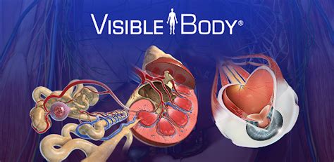 Human Anatomy Atlas 2023 MOD APK v2024.00.005 (Unlocked) for Android