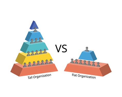 tall and flat organizational structure with wide and small wide spans ...