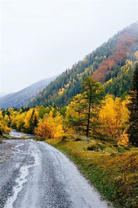 Beautiful Fall Leaf Colors and Road in Mountain Stock Image - Image of ...