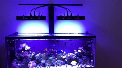 2017 DIY Reef LED light mount (Mars Aqua 165w) 55 gallon saltwater fish ...