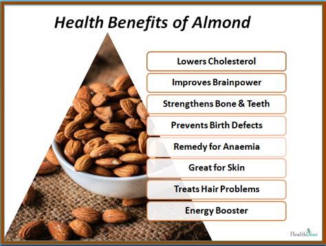 Health Benefits of Almond — Steemit | Almond benefits, Health benefits ...