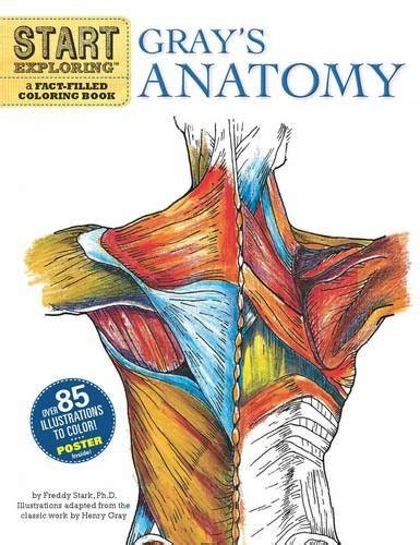 Human Anatomy Books For Medical Students - jordangett