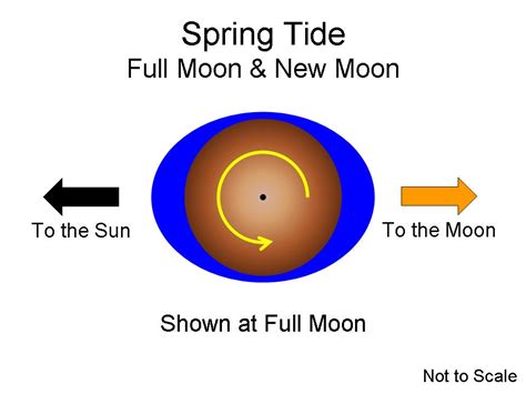 Lecture 20: Tides