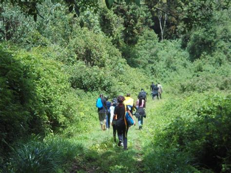 Top 6 Nairobi Hiking Day Tours in Kenya | Nairobi Day Hikes