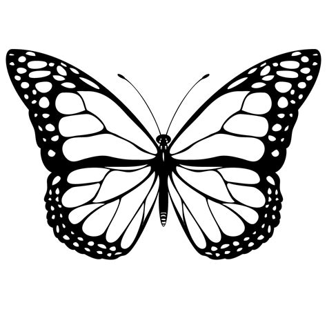 Simple Butterfly Outline - ClipArt Best